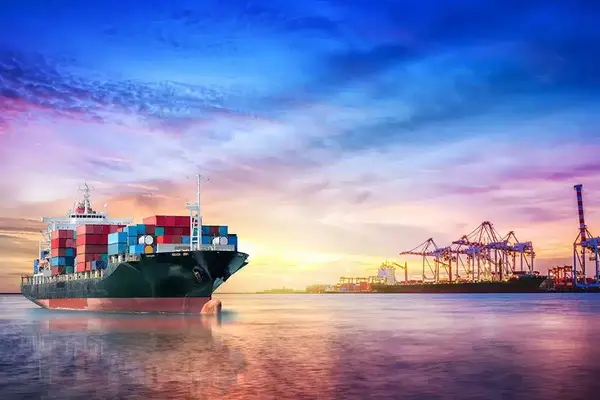 A Complete Guide to Delivered Duty Paid